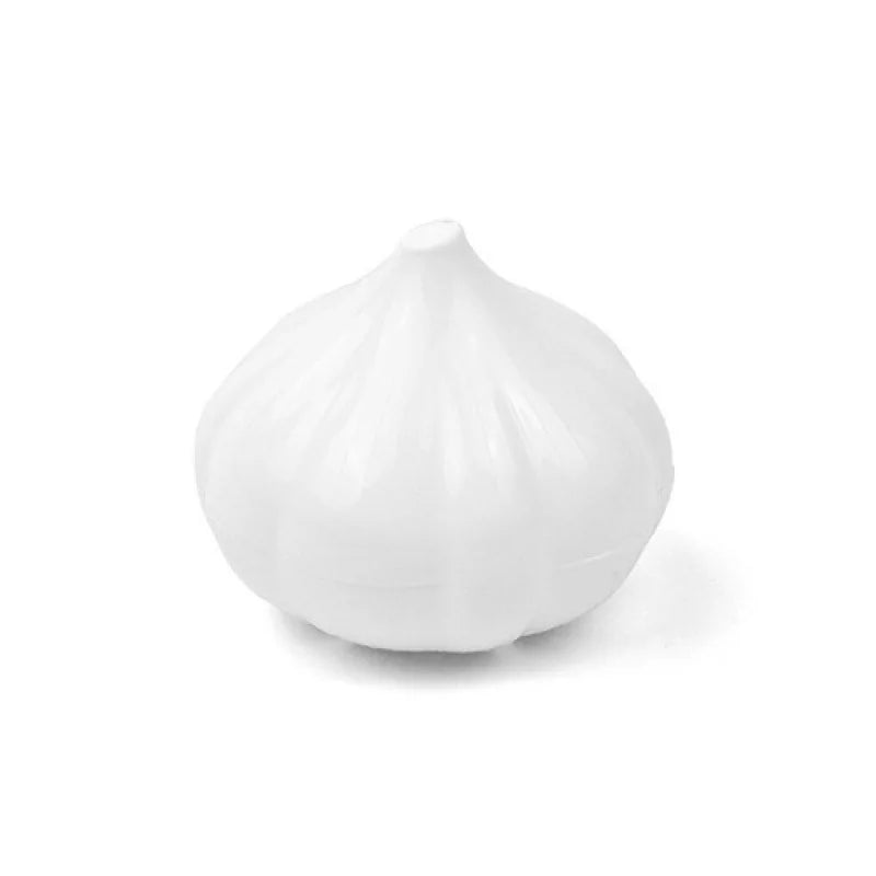 Boite de Conservation Alimentaire - VeggieKeeper™ - Ail - Solution Espace Maison